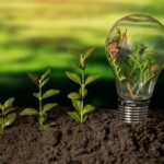 Unveiling the Role of Corporate Social Responsibility (CSR) 