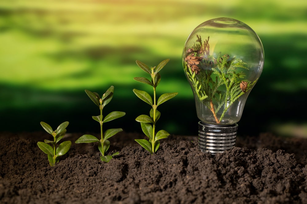 Unveiling the Role of Corporate Social Responsibility (CSR) 